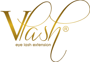 Vlash Logo (1)